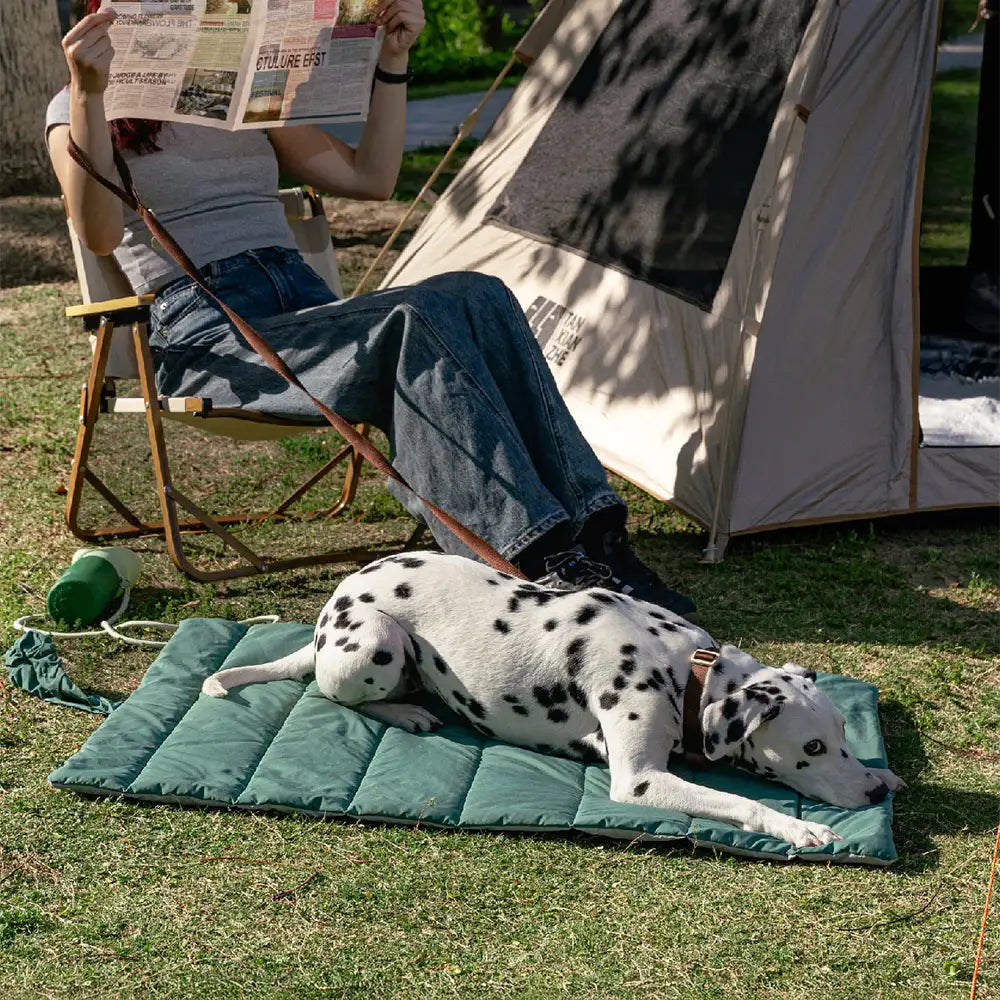 Portable Foldable Double-Sided Water-Repellent Dog Mat for Outdoor Travel & Camping
